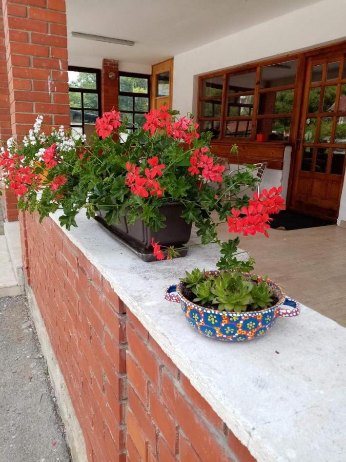 Apartman Dunja I Milos Μόκρα Γκόρα Εξωτερικό φωτογραφία
