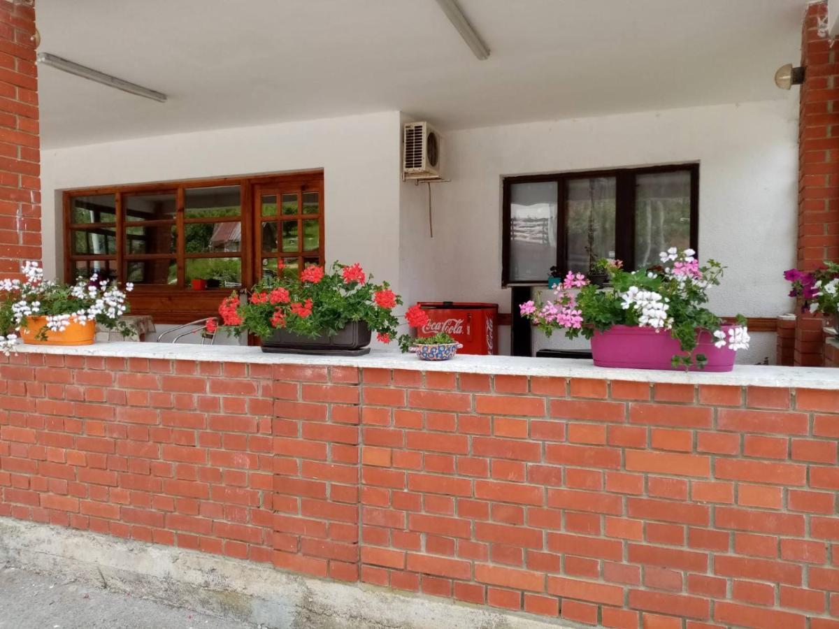 Apartman Dunja I Milos Μόκρα Γκόρα Εξωτερικό φωτογραφία