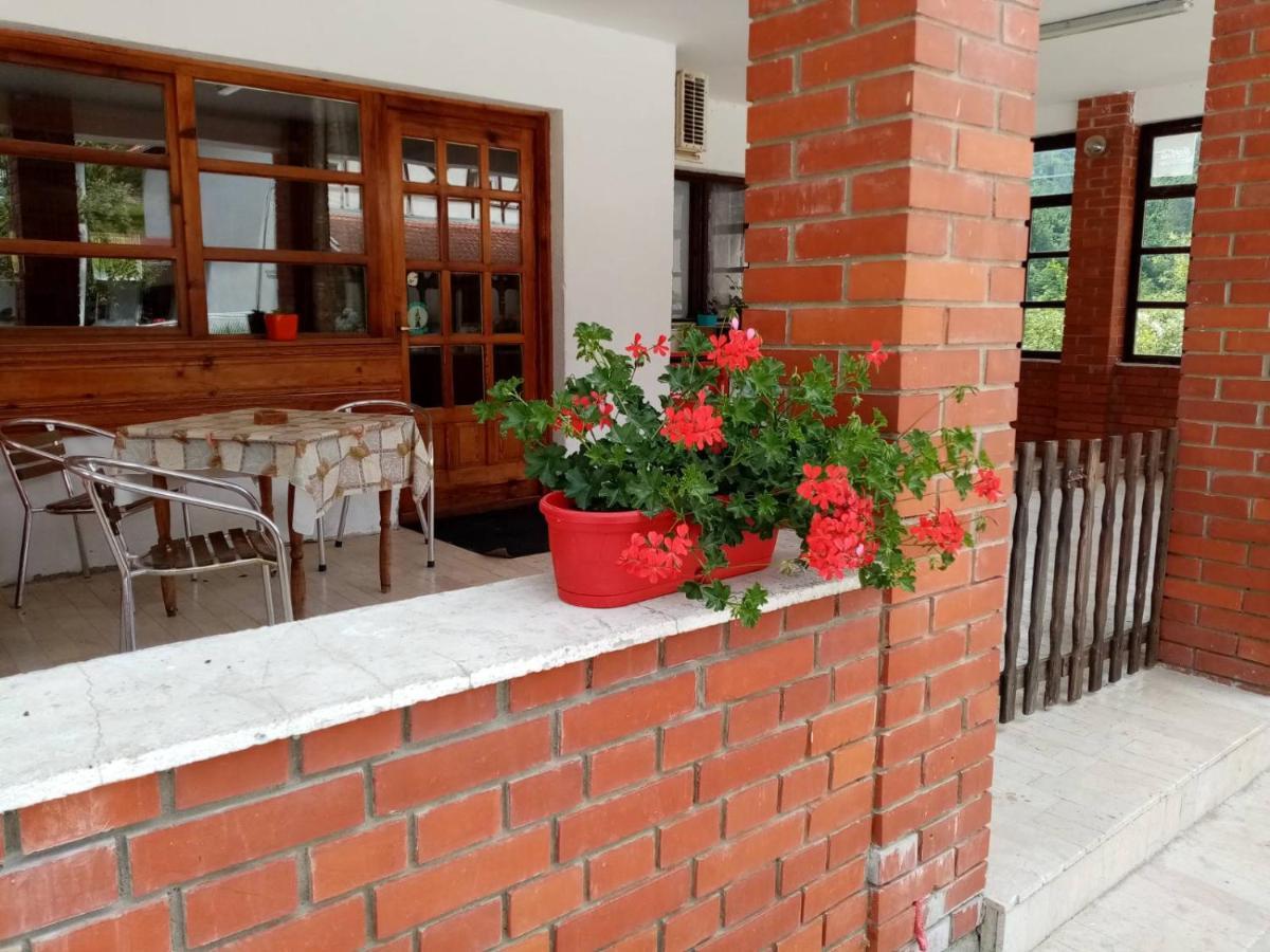 Apartman Dunja I Milos Μόκρα Γκόρα Εξωτερικό φωτογραφία